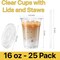 Plastic Clear Cups 16 oz with Lids and Straws 25 Set Disposable Cold Beverage Drinking Iced Coffee Water Juice Tea Party Travel Cafe Restaurant School Office Home Kitchen (25 Set, 16 oz)